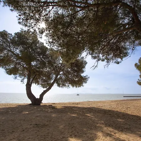 Апартаменты Les Canoubiers Iii By Interhome Ла-Лонд-ле-Мор